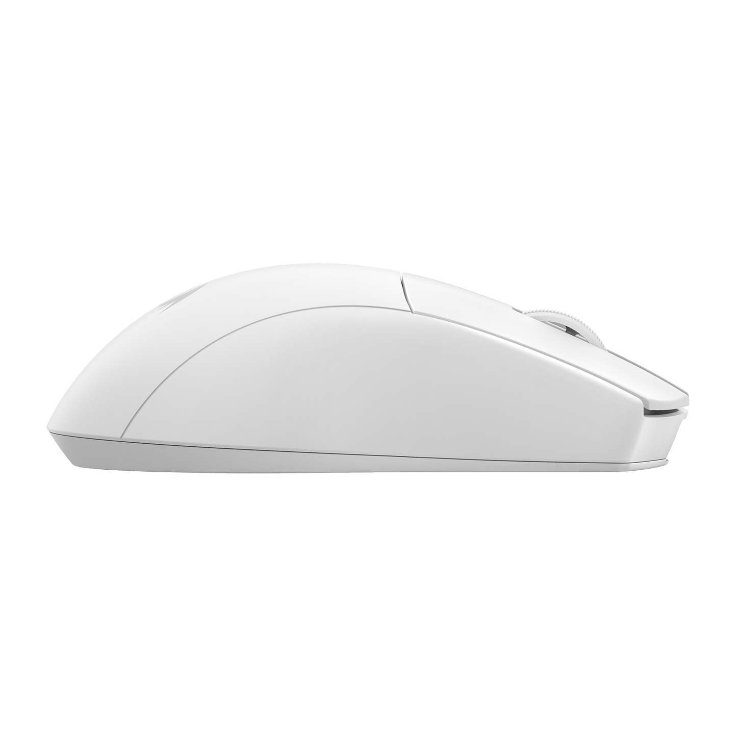 Myszka M916W-LIT-1K
