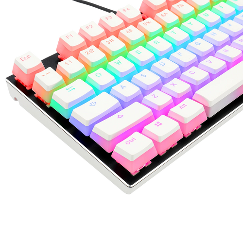 Double Shot PBT