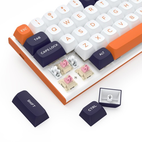 FIDD-K683WBO-RGB-M-3