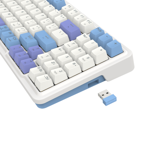 Gloria-Pro-K664WBP-RGB-PRO-2