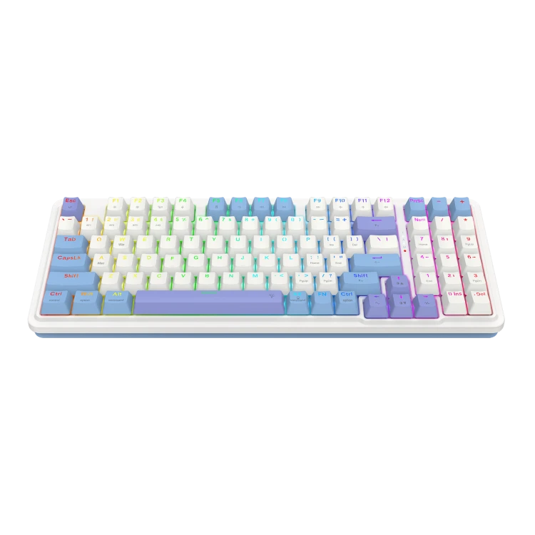 Gloria-Pro-K664WBP-RGB-PRO-3