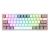 K616-RGB-WG-Fizz-Pro-1
