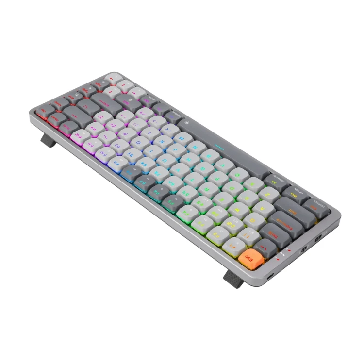 2873.