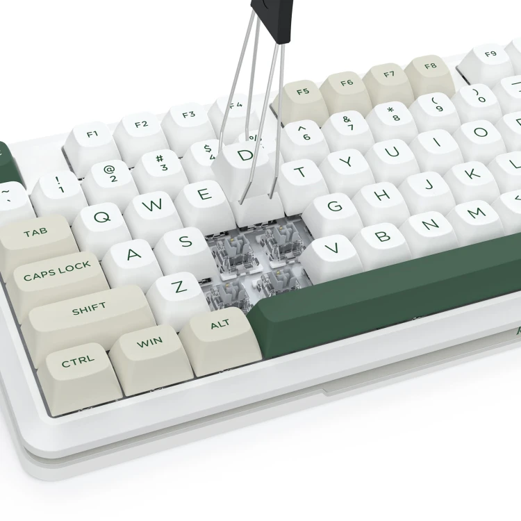 WILDSLASH-K734WCG-RGB-PRO-4