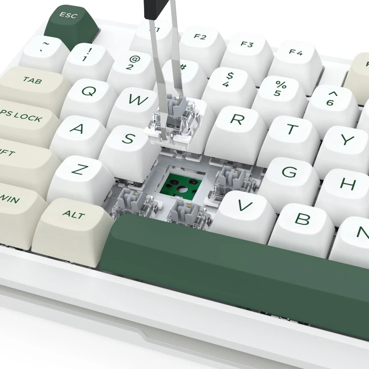 WILDSLASH-K734WCG-RGB-PRO-5