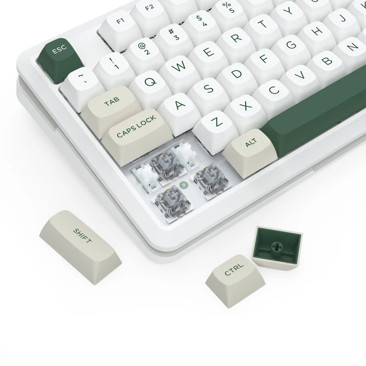 WILDSLASH-K734WCG-RGB-PRO-10