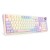 EISA-100-K768VI-WL-2
