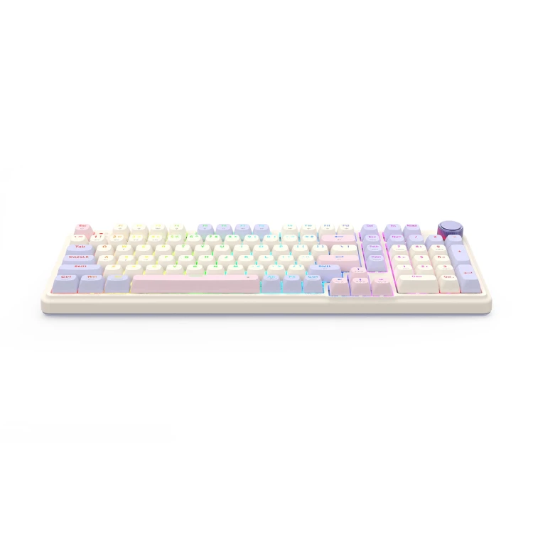 EISA-100-K768VI-WL-5