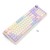 EISA-100-K768VI-WL-6